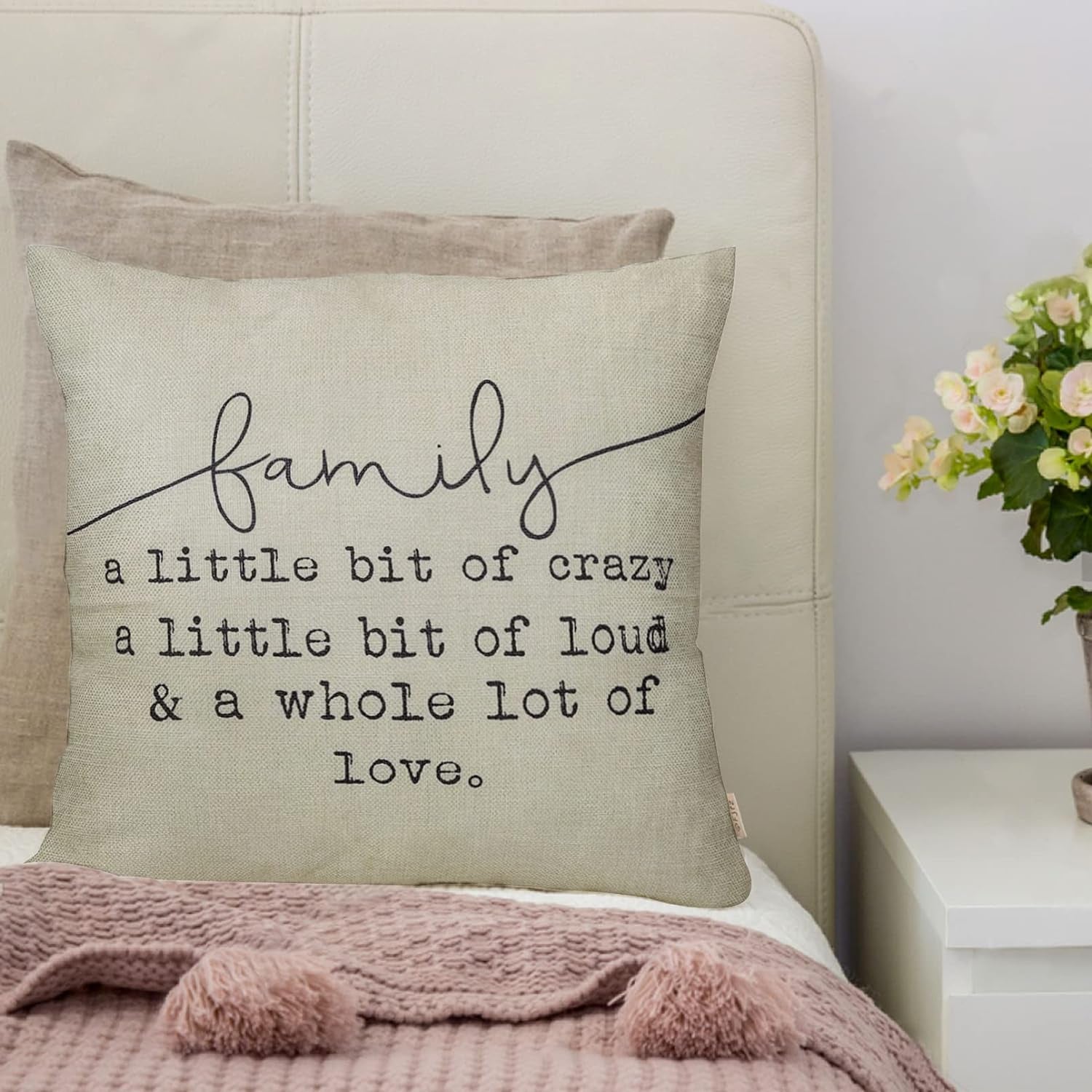 Family a Little Bit of Crazy Decorative Throw Pillow Covers, Farmhouse Quote Home Rustic Decorations, Christmas Inspirational Gifts Winter Cotton Linen Cushion Case Decors for Sofa Couch 18 × 18