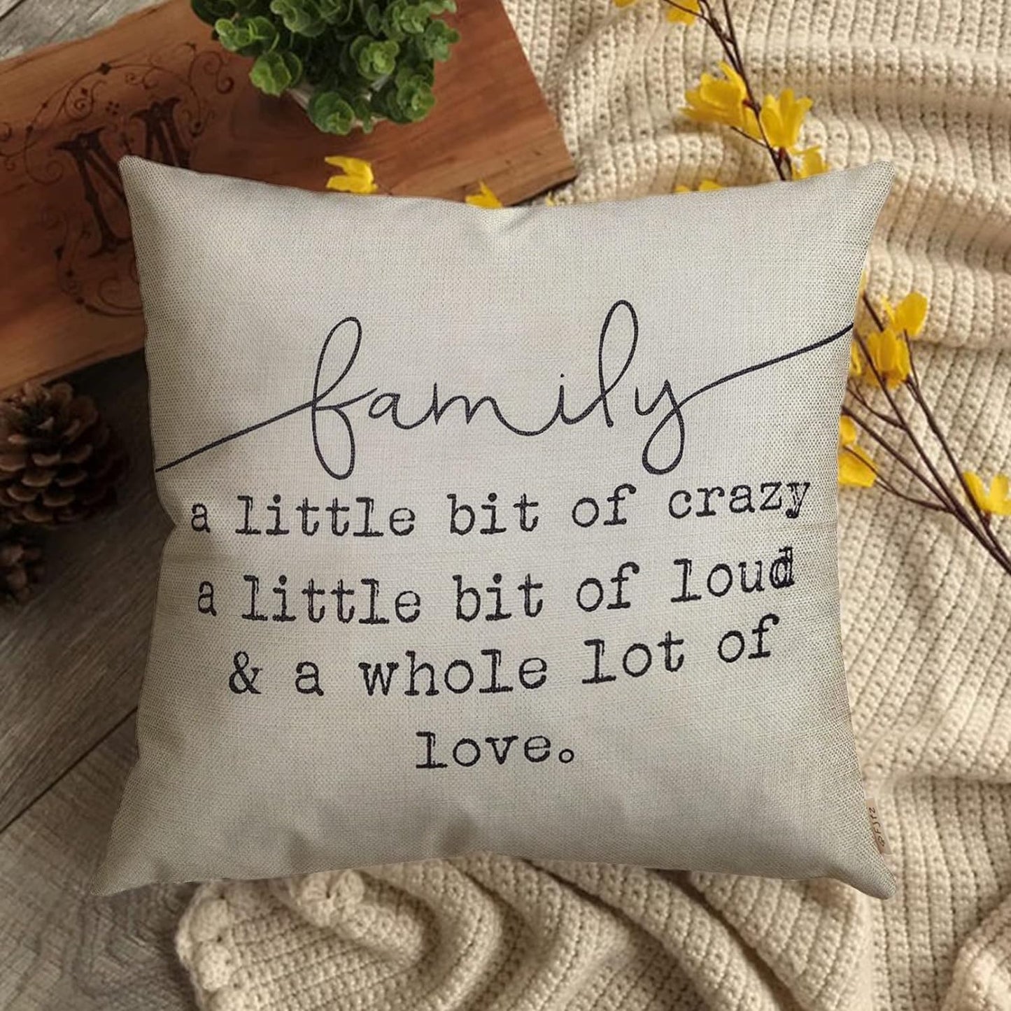 Family a Little Bit of Crazy Decorative Throw Pillow Covers, Farmhouse Quote Home Rustic Decorations, Christmas Inspirational Gifts Winter Cotton Linen Cushion Case Decors for Sofa Couch 18 × 18